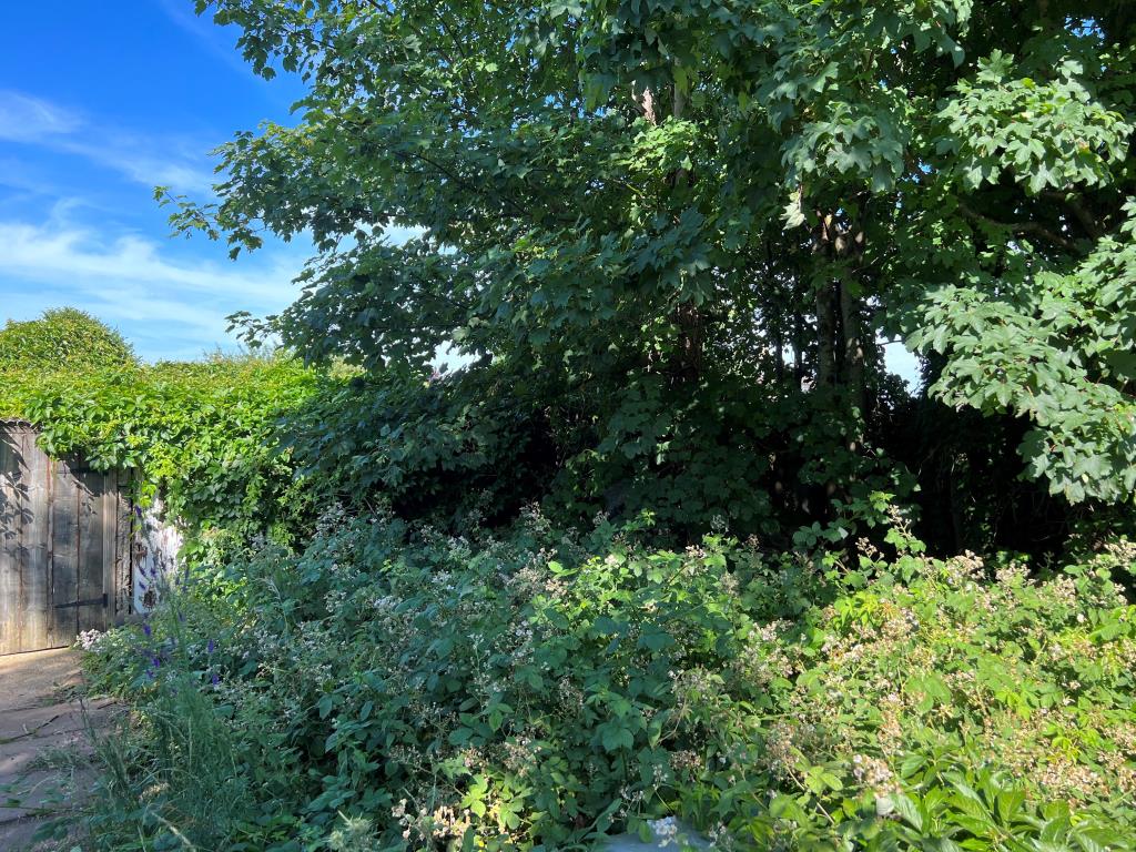 Lot: 118 - FREEHOLD LAND AND FOUR DILAPIDATED GARAGES -